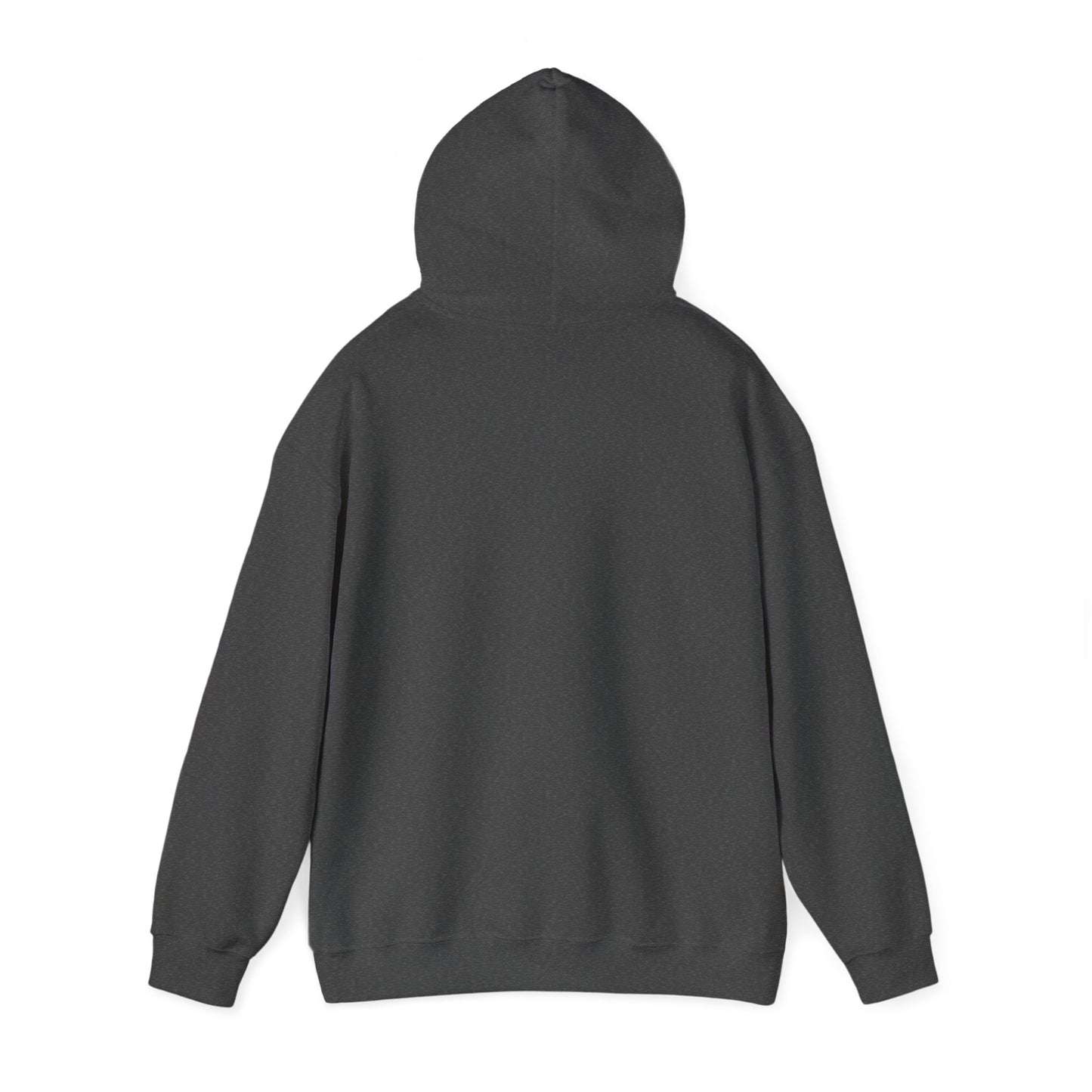 UNITY ROOTS COLOR HOODED SWEATSHIRT GIFT