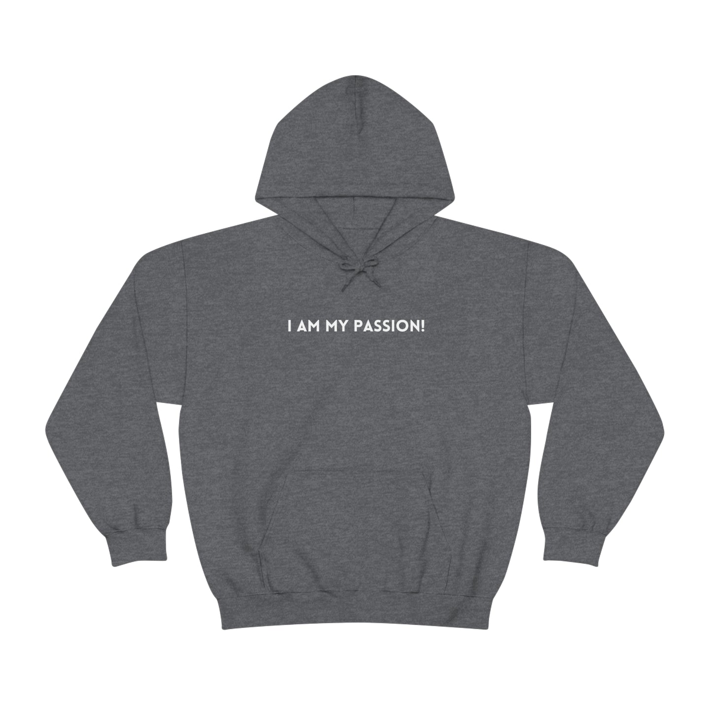 I am my passion unisex hooded sweatshirt gift, inspirational words hoodie gift, hoodie gift for friends or family