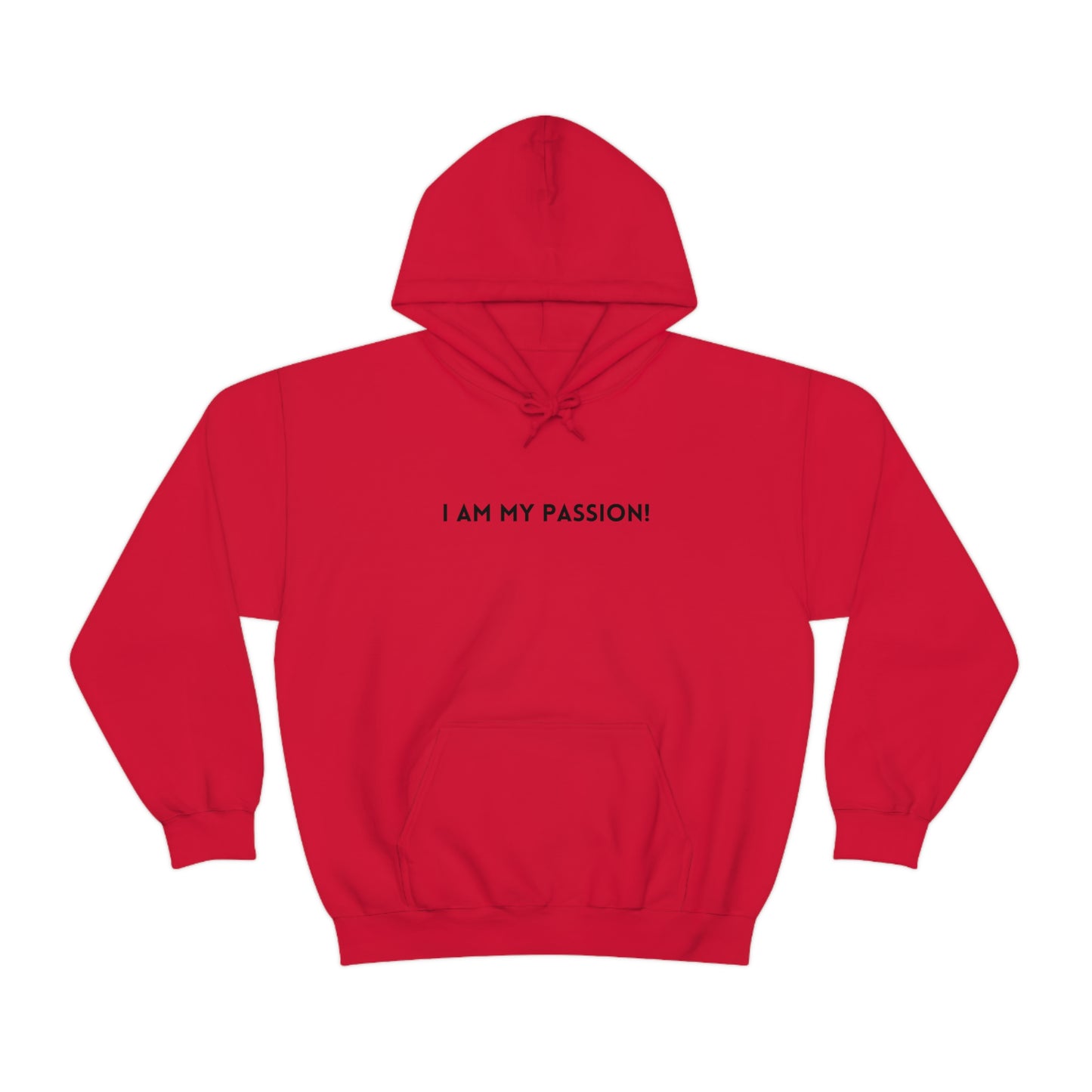 I am my passion unisex hooded sweatshirt gift, inspirational words hoodie gift, hoodie gift for friends or family( Black Font)