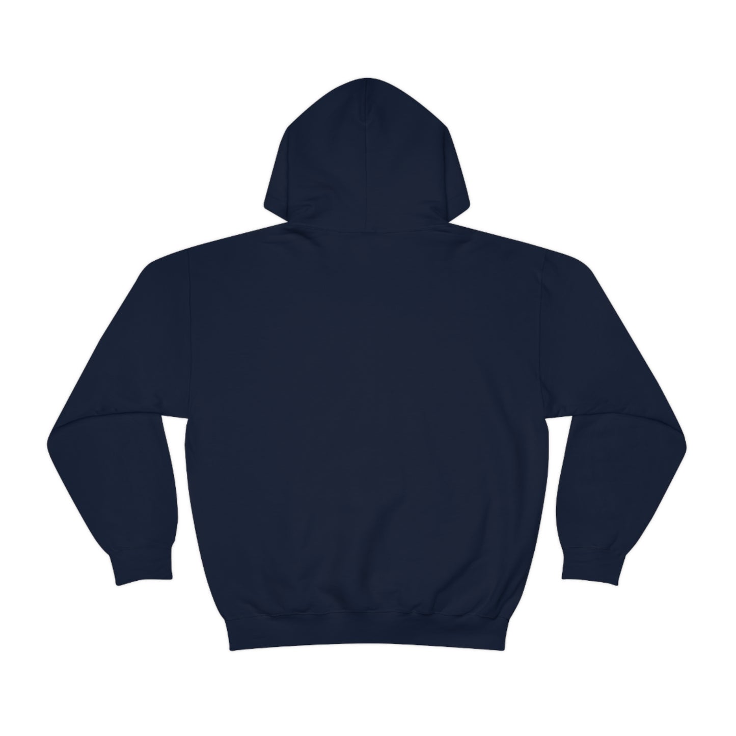 NURSE PRACTITIONER GIFT HOODIE