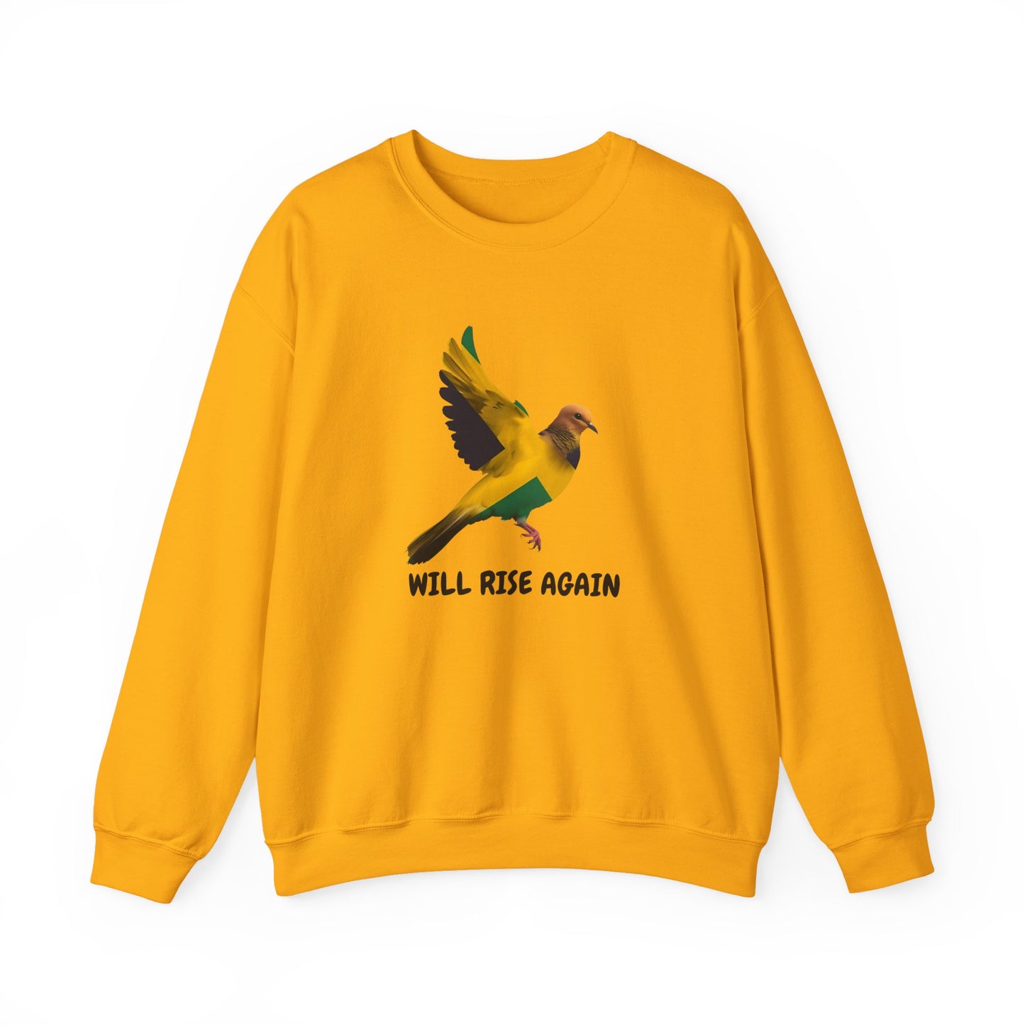 Will Rise Again Flying Bird Inspirational Pullover