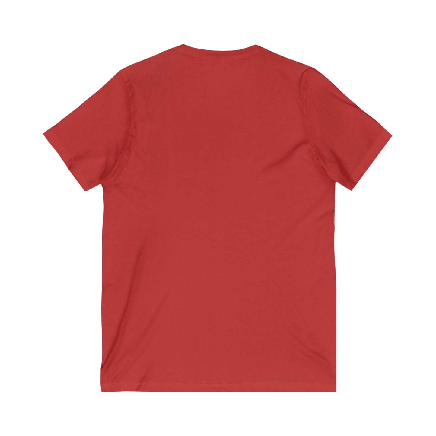 NURSE PRACTITIONER V NECK T SHIRT