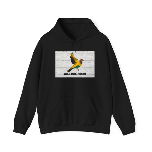 Will Rise Again Bird Graphic  Bird Pullover A