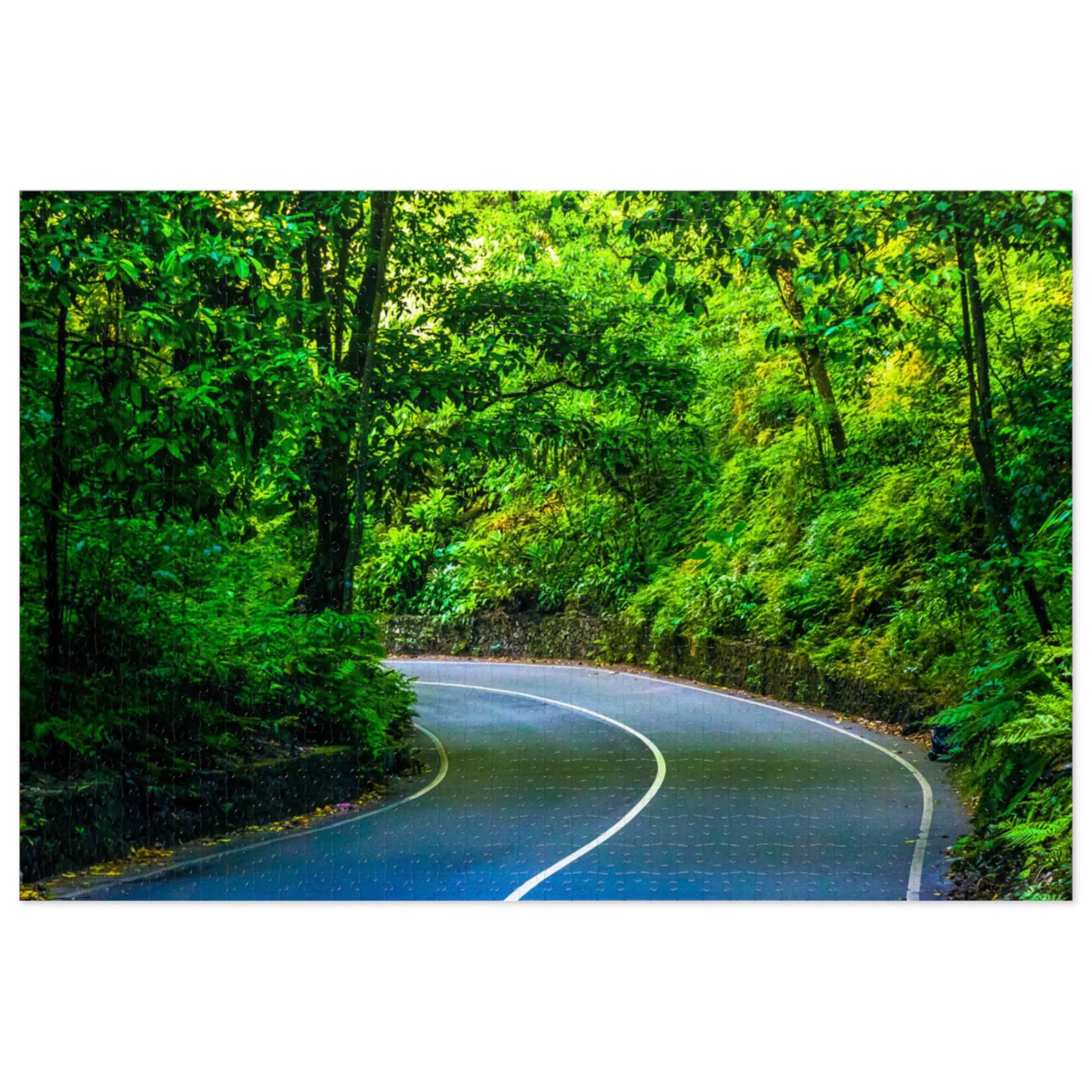 Fern Gully Jigsaw Puzzle In Tin