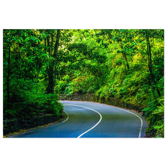 Fern Gully Jigsaw Puzzle In Tin