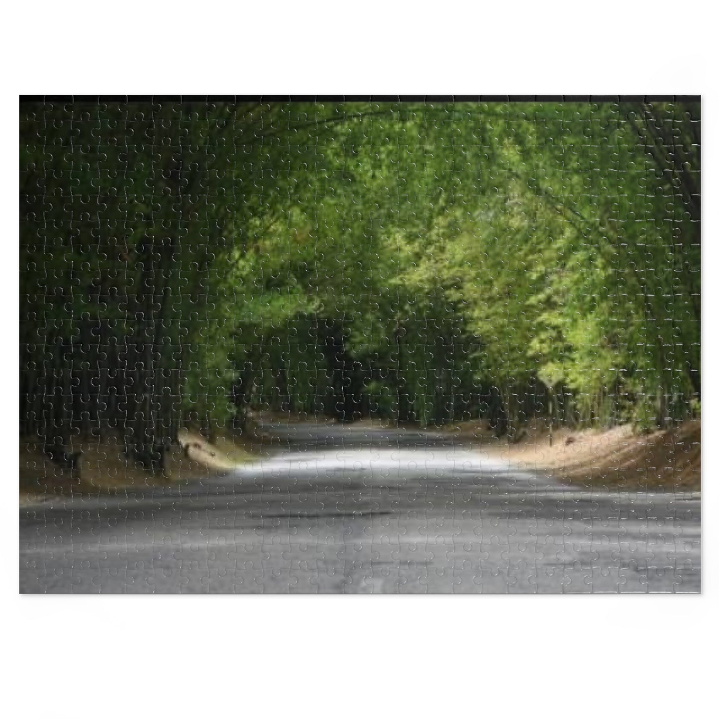 Holland Bamboo Jigsaw Puzzle (with Tin)