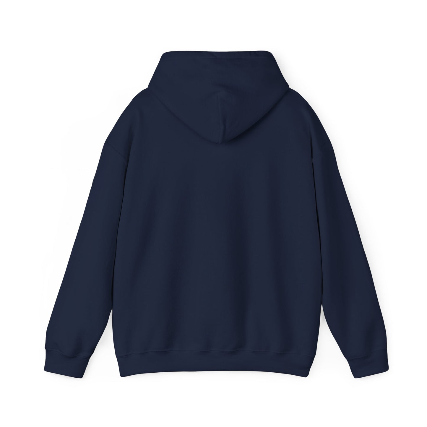 Will Rise Again Bird Graphic  Bird Pullover A
