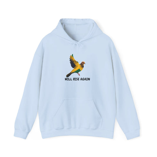 Will Rise Again Bird  Inspirational Flying Bird Graphic Hooded Sweatshirt