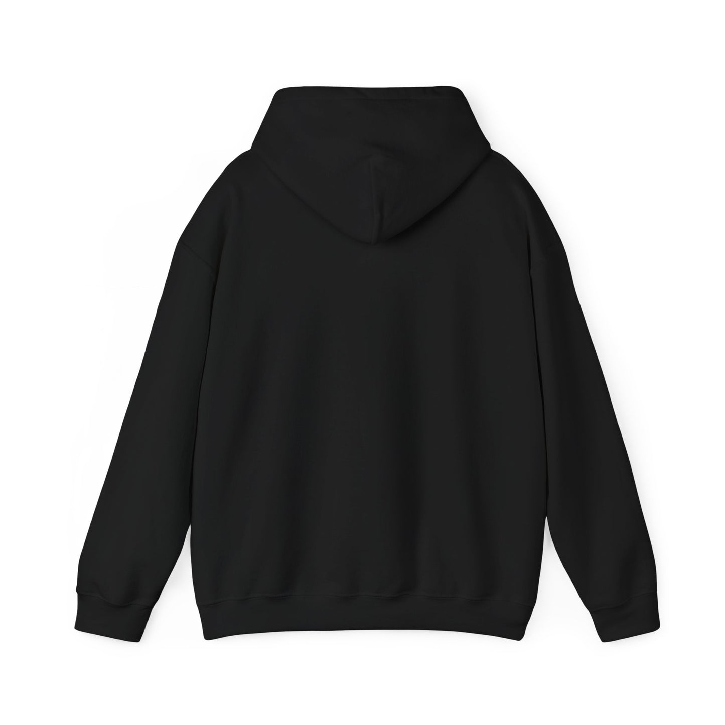 Will Rise Again Bird Graphic  Bird Pullover A