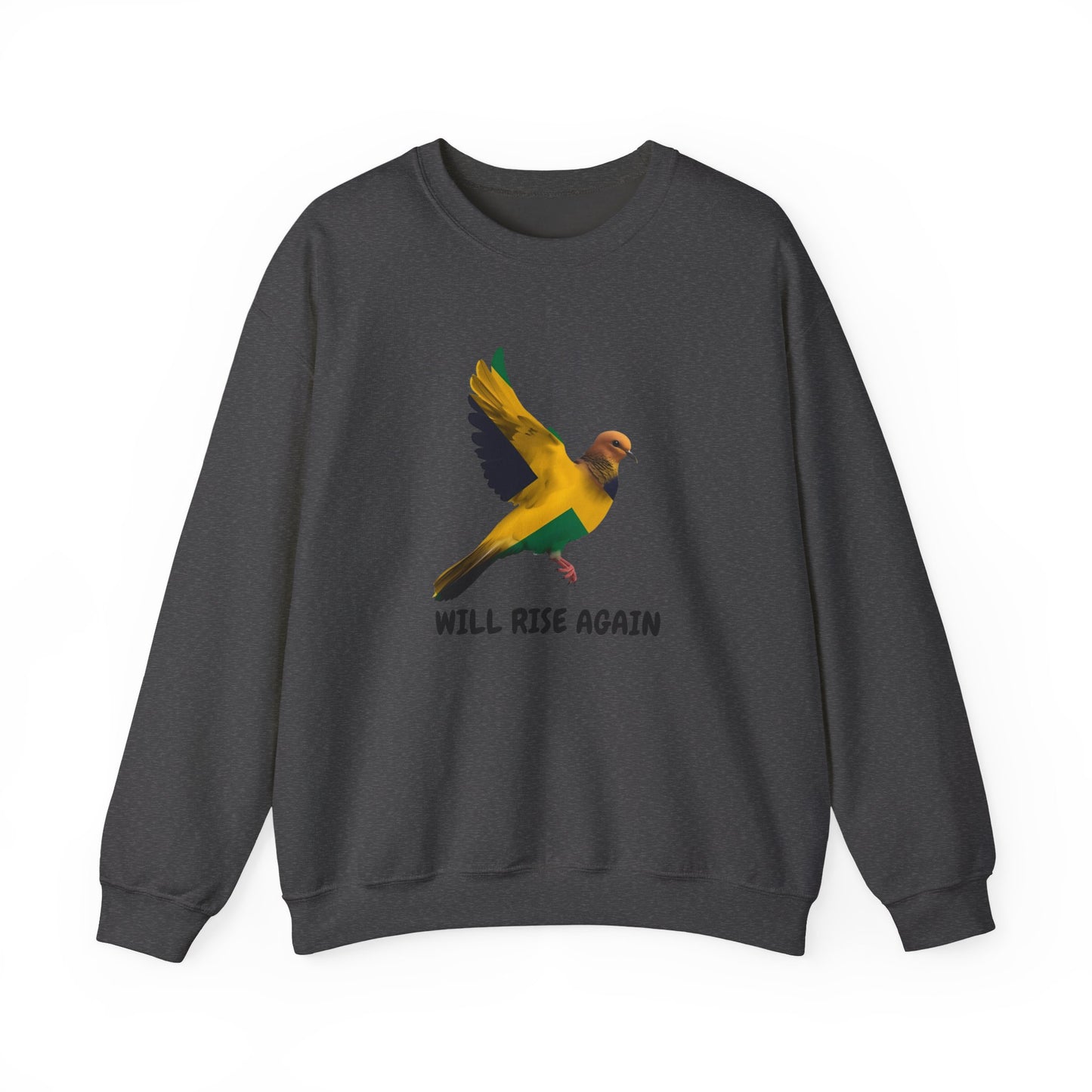 Will Rise Again Flying Bird Inspirational Pullover