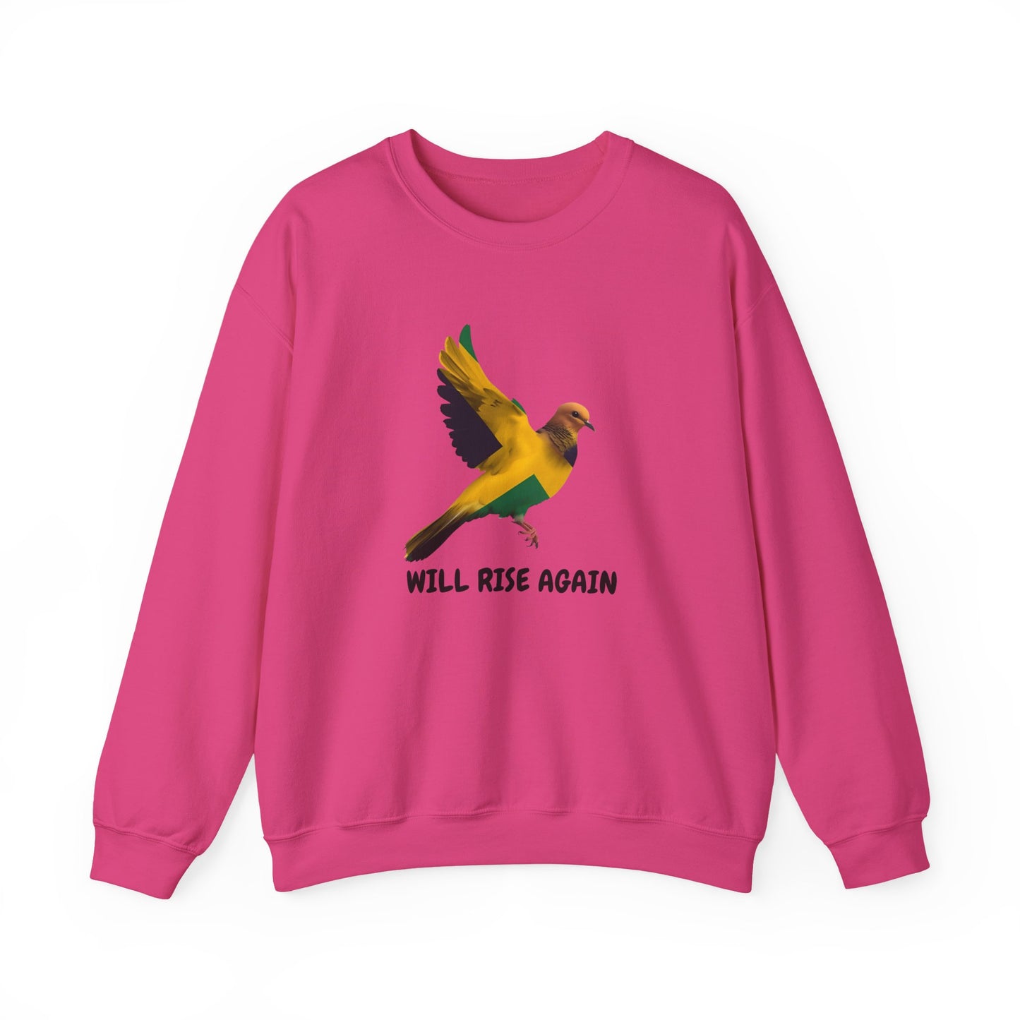 Will Rise Again Flying Bird Inspirational Pullover