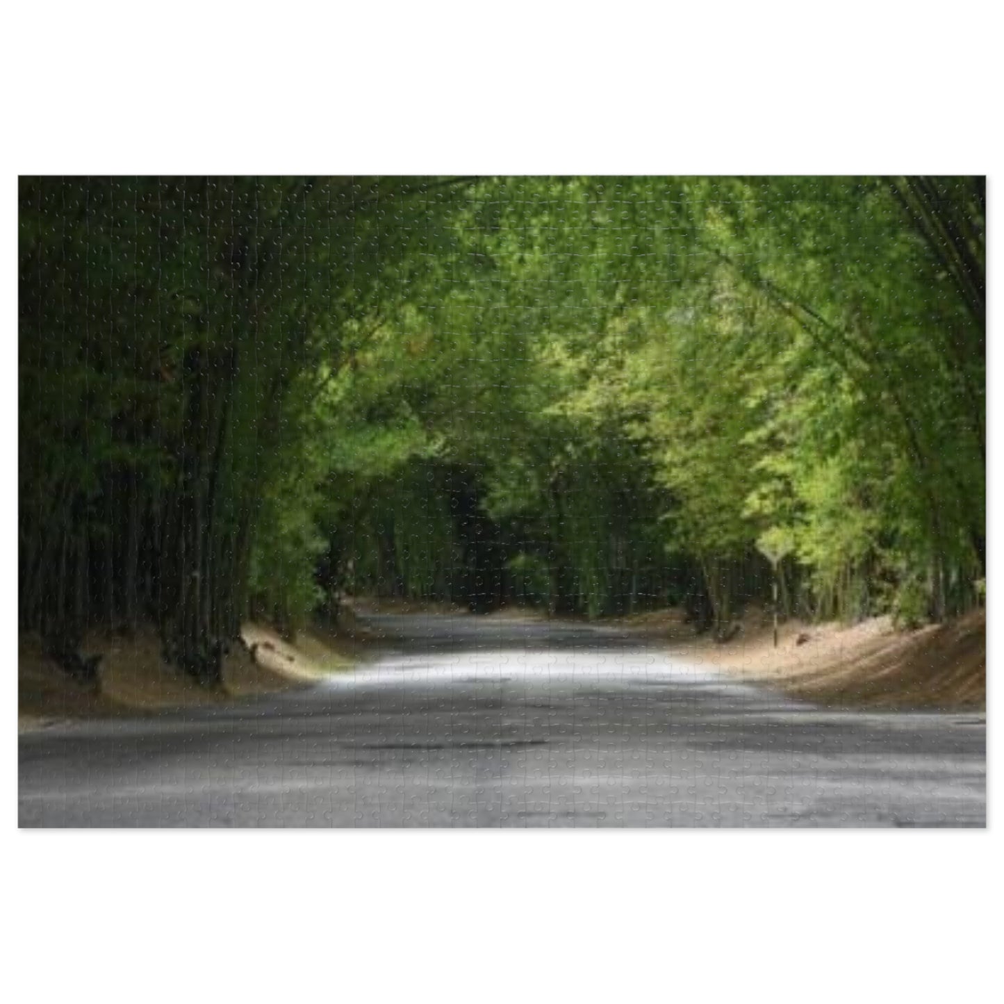 Holland Bamboo Jigsaw Puzzle (with Tin)