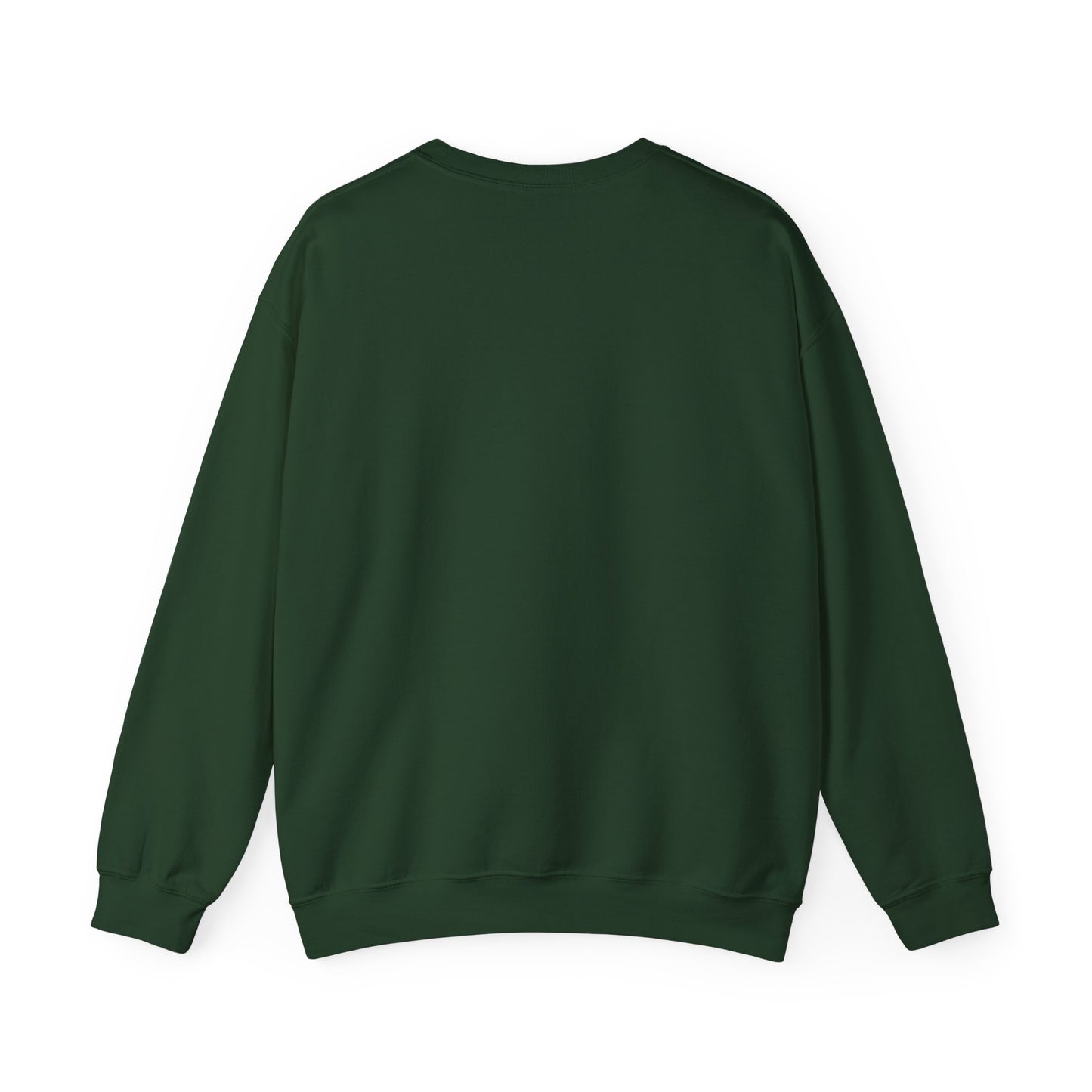 Will Rise Again Sweatshirt  Rising Bird Graphic Crewneck (E G)