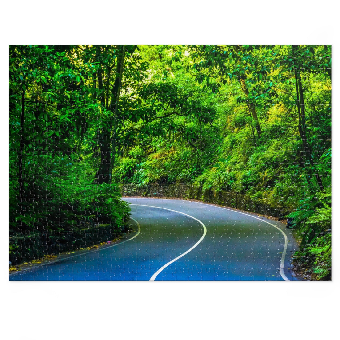 Fern Gully Jigsaw Puzzle In Tin