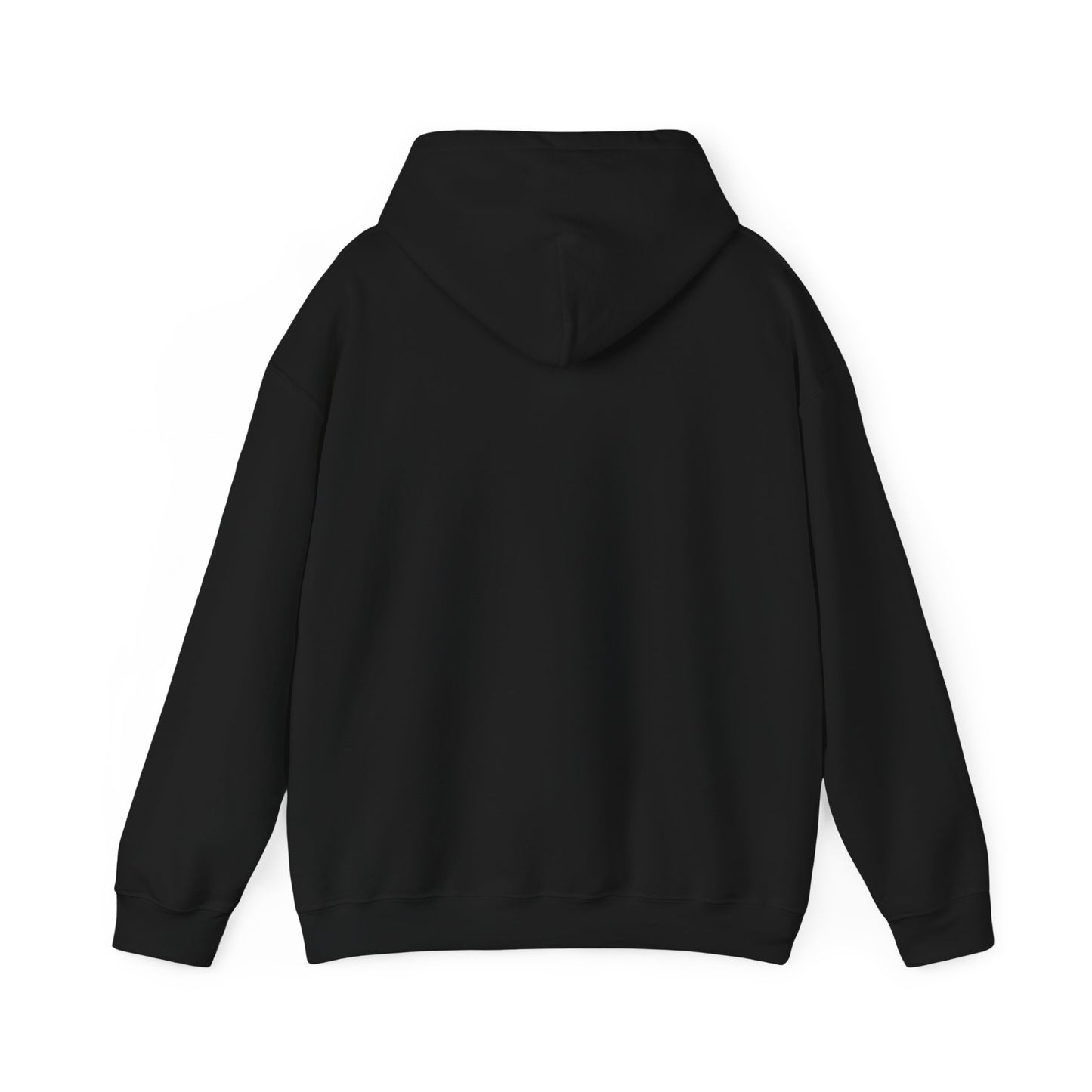 ITES COLOR UNITY HOODED SWEATSHIRT