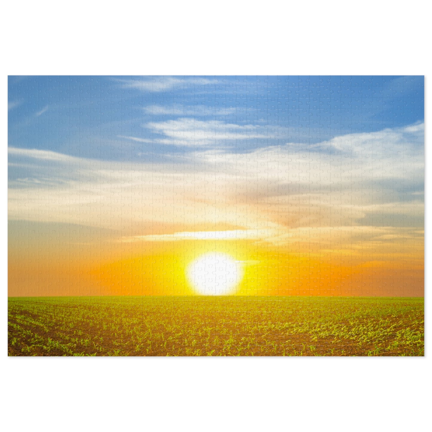 Nature Sunny Glow Jigsaw Puzzle with Tin