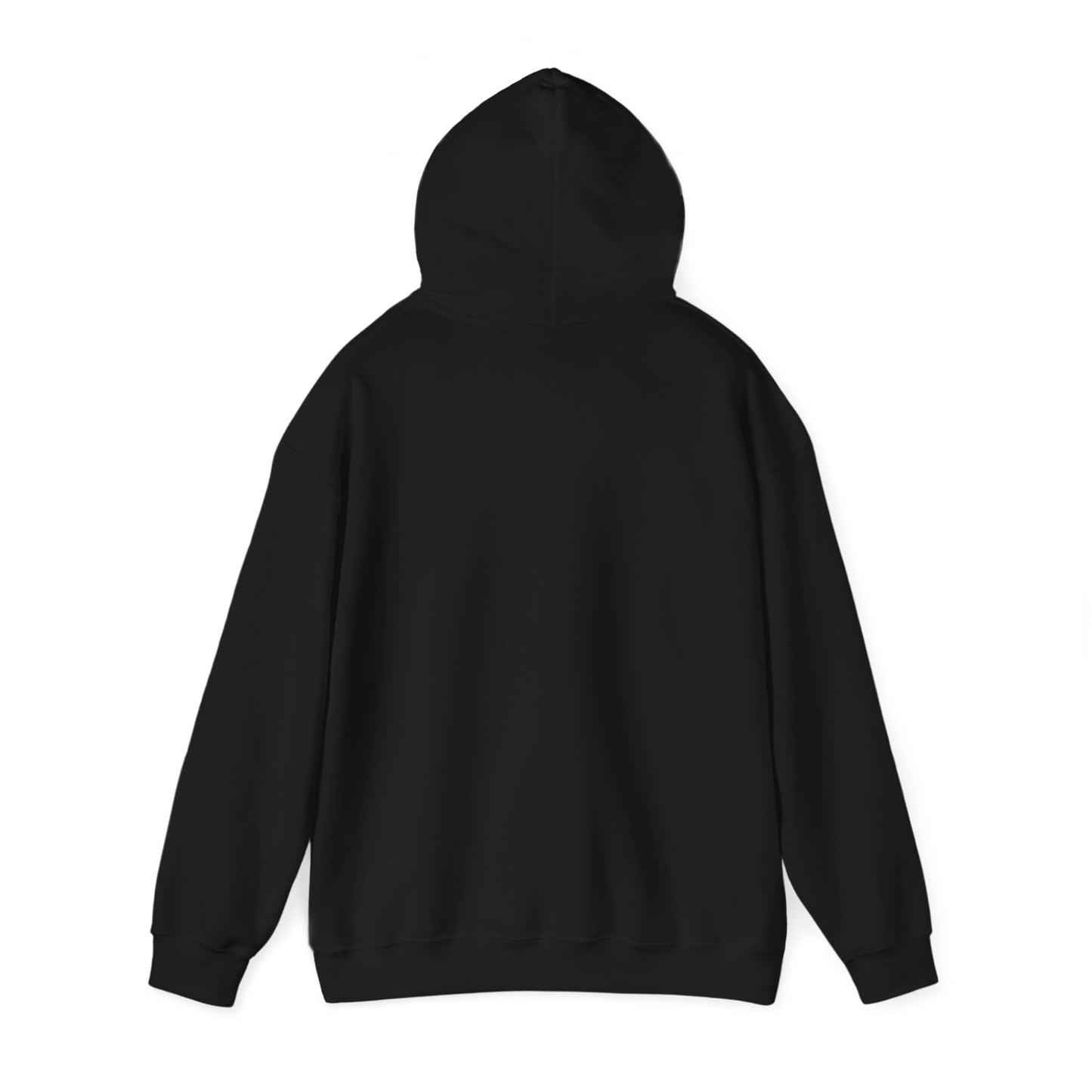 ITES COLOR UNITY HOODED SWEATSHIRT