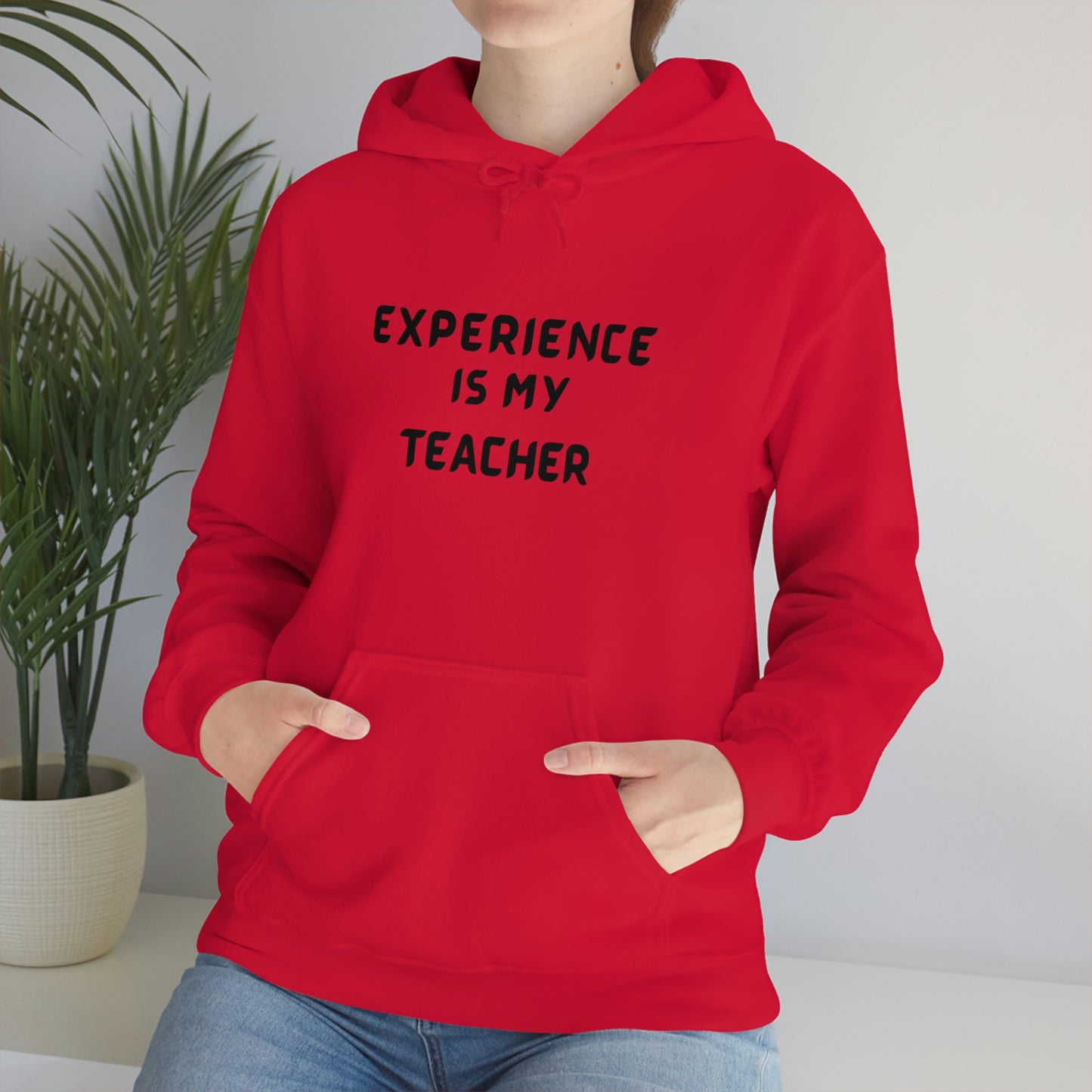 EXPERIENCE IS MY TEACHER UNISEX HOODED SWEATSHIRT GIFT FOR MATURE FRIEND GIFT HOODIE FOR SUCCESSFUL FRIEND INSPIRATIONAL QUOTES HOODIE GIFT