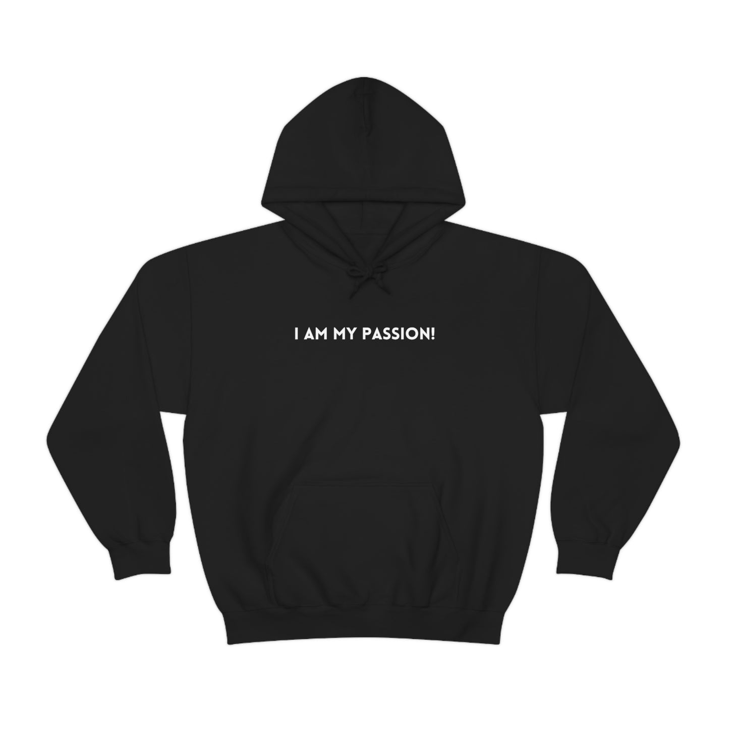 I am my passion unisex hooded sweatshirt gift,  inspirational words hoodie gift, hoodie gift for friends or family