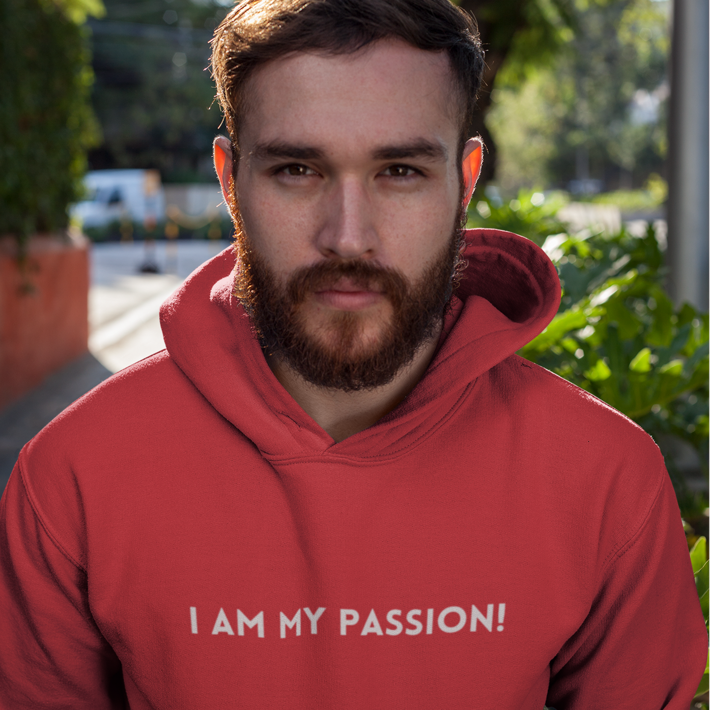 I am my passion unisex hooded sweatshirt gift,  inspirational words hoodie gift, hoodie gift for friends or family